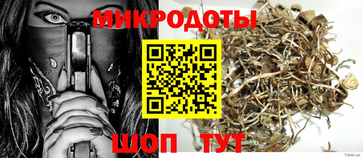 Галлюциногенные грибы Psilocybine cubensis  купить наркоту  Кондопога  Вход с VPN 