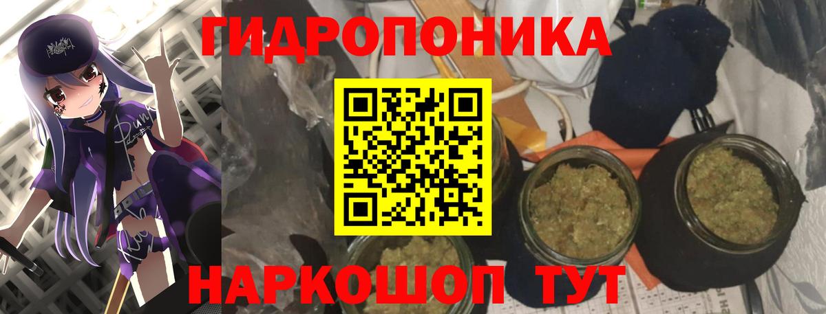 Конопля индика  Вход с VPN  Шишки марихуана семена  Бошки Шишки сатива  Кондопога  Каннабис тримм 